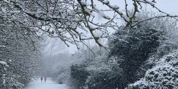 Ku priten reshje bore?