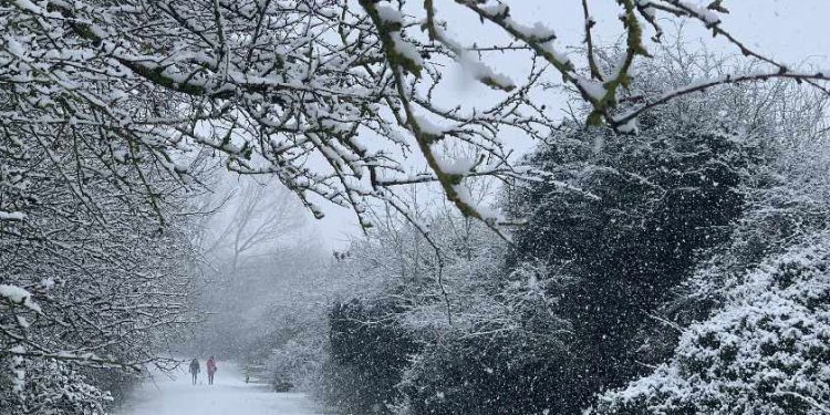 Ku priten reshje bore?