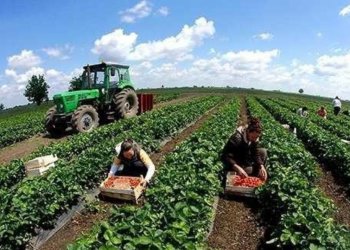 Inflacioni vazhdon ta godasë Kosovën, rritet çmimi i mallrave në bujqësi