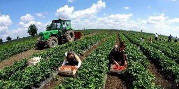 Inflacioni vazhdon ta godasë Kosovën, rritet çmimi i mallrave në bujqësi