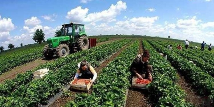 Inflacioni vazhdon ta godasë Kosovën, rritet çmimi i mallrave në bujqësi