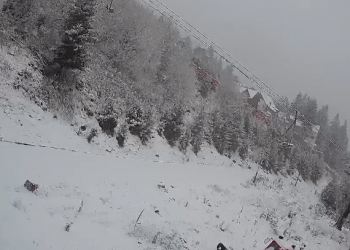 Reshje bore, zbardhet Brezovica