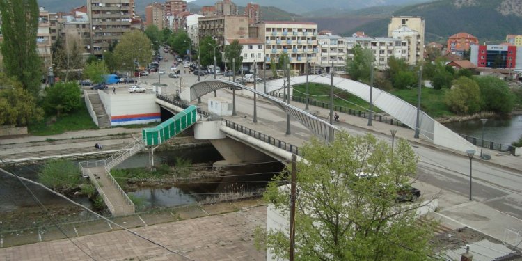 Rrëzohen disa lisa në Mitrovicë, publikohen pamjet