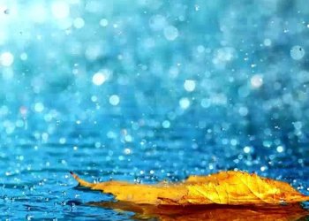 Ditët me shi ndikojnë pozitivisht tek ju, këto janë përfitimet e shiut në shëndetin tuaj!