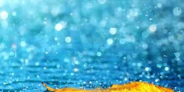 Ditët me shi ndikojnë pozitivisht tek ju, këto janë përfitimet e shiut në shëndetin tuaj!