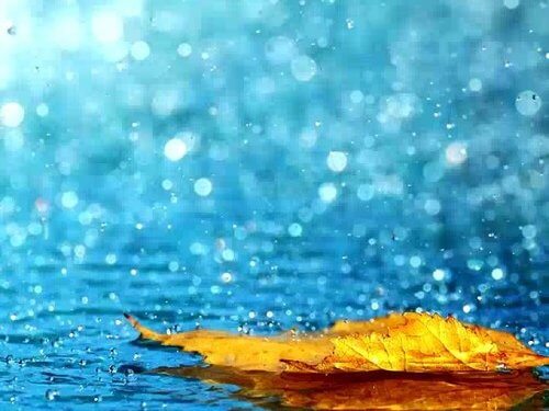 Ditët me shi ndikojnë pozitivisht tek ju, këto janë përfitimet e shiut në shëndetin tuaj!