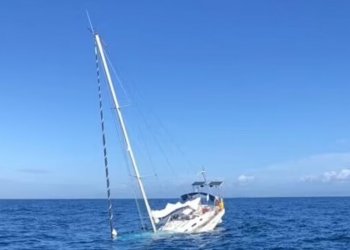 Anija me vela sulmohet nga 7 orka dhe fundoset! (Video)