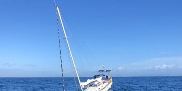 Anija me vela sulmohet nga 7 orka dhe fundoset! (Video)