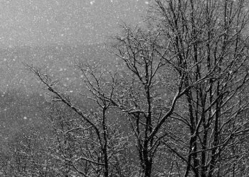 Reshje bore këtë fundjavë në Kosovë!