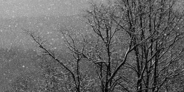 Reshje bore këtë fundjavë në Kosovë!