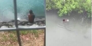 Krokodili kap djalin 1 vjeçar, babai nuk mundi ta shpëtonte dot!