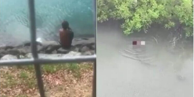 Krokodili kap djalin 1 vjeçar, babai nuk mundi ta shpëtonte dot!