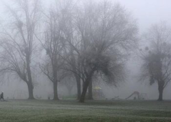 Moti për ditën e sotme