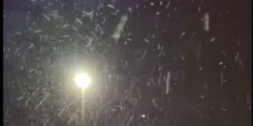 Moti për ditën e sotme