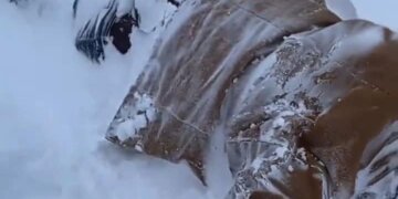 “Cikloni bombë” në SHBA, një burrë gjendet i ngrirë në mes të rrugës