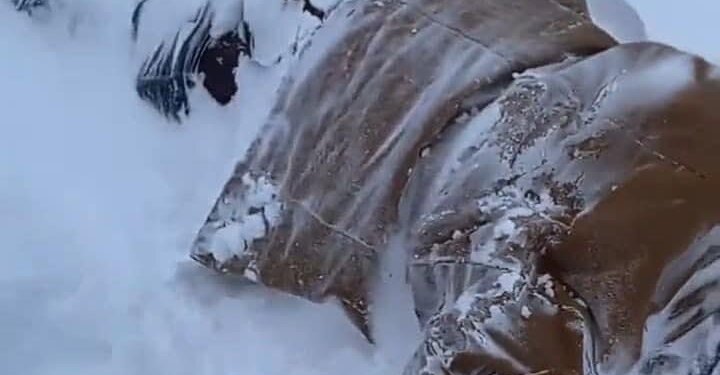 “Cikloni bombë” në SHBA, një burrë gjendet i ngrirë në mes të rrugës