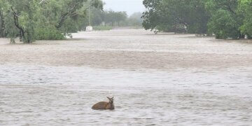 Përmbytje që nuk shihen prej 1 shekulli, në disa ditë bien reshje shiu sa për një vit!