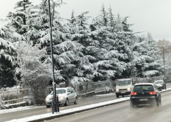 Moti për ditën e sotme