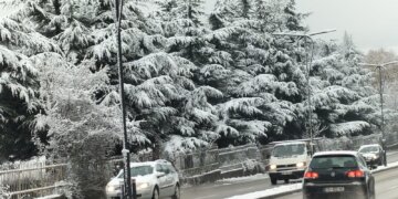 Moti për ditën e sotme