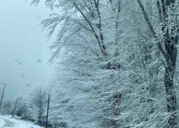 Moti për ditën e sotme