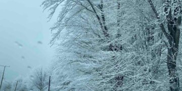 Moti për ditën e sotme