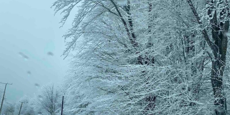 Moti për ditën e sotme