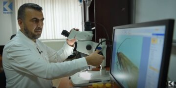 Zbulohet një insekt i ri në Kosovë!