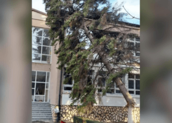 Erërat e forta, lisi rrëzohet në shkollën fillore në Prizren