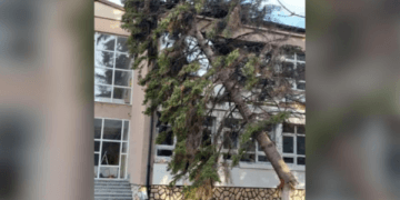 Erërat e forta, lisi rrëzohet në shkollën fillore në Prizren