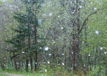 Moti për ditën e sotme