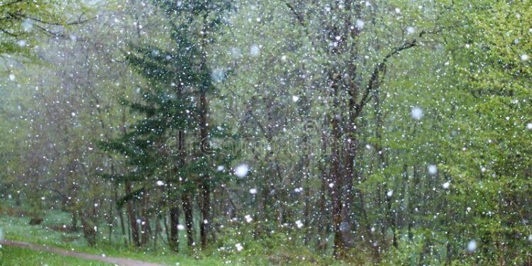 Moti për ditën e sotme