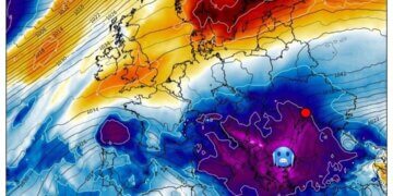 Moti javor, javë me acar të thatë!