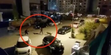 Momenti kur leopardi i ikën pronarit nga shtëpia dhe sulmon njerëzit në rrugë