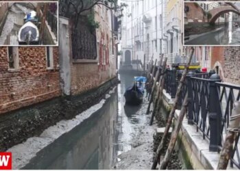 Shikoni pamjet që ka shkaktuar batica në Venecia