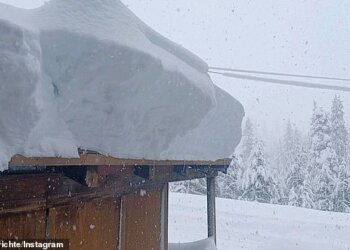 Çfarë do të ndodhte nëse nuk do të kishte më borë?