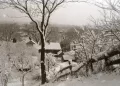 Viti pa verë, katastrofa e çuditshme e motit