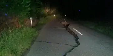 Tërmeti në Turqi, shiu i rrëmbyeshëm pengon përpjekjet për shpëtim