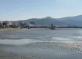 “Nuk ka ndodhur asnjëherë në këto përmasa”, tërheqja e detit në Vlorë a është fenomen shqetësues