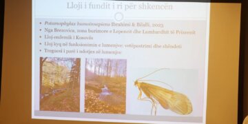 Prezantohet insekti i ri i zbuluar në Kosovë – këto janë veçoritë e tij