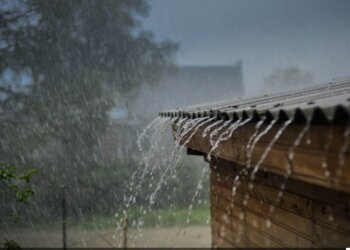 Afrohet ndryshimi i motit!