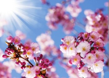 Moti nesër dhe ditëve në vazhdim! (23.03.2023.) E Enjte