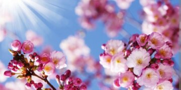 Moti nesër dhe ditëve në vazhdim! (23.03.2023.) E Enjte