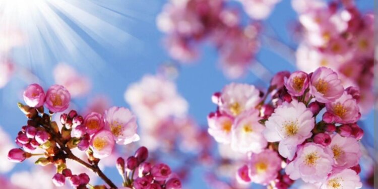 Moti nesër dhe ditëve në vazhdim! (23.03.2023.) E Enjte