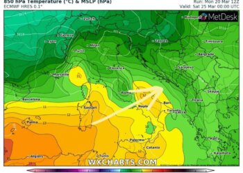 Parashikimi i motit për këtë javë!