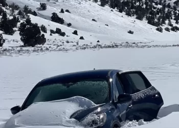 E zë bora në mes të malit, shpëton i gjallë pas disa ditësh – kështu mbijetoi për 6 ditë