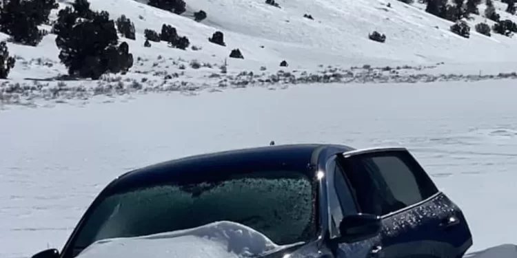 E zë bora në mes të malit, shpëton i gjallë pas disa ditësh – kështu mbijetoi për 6 ditë