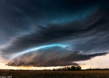 Fotot më të bukura të natyrës që “keni parë ndonjëherë”, nga krokodili i kamufluar te stuhitë dramatike