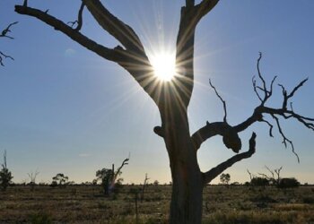 Mëngjes mjaft i ftohtë, çfarë moti na pret nga sot?