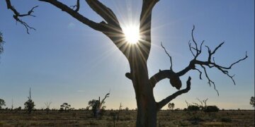 Mëngjes mjaft i ftohtë, çfarë moti na pret nga sot?