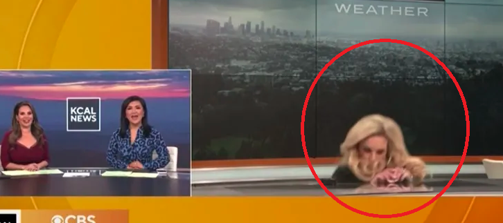 Moderatores së motit i bie të fikët gjatë transmetimit, momenti kur rrëzohet